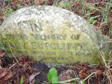 image of grave number 707661